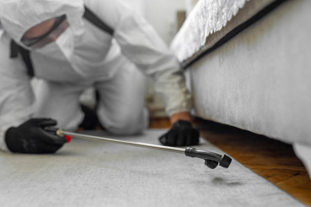 Professional Ant Control technician working in Olmsted County County, MN